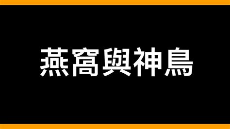 屋簷鳥|你家屋簷也有「燕窩」嗎？傳說中能夠預測天氣的神鳥「家燕。